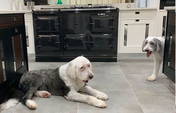 Installation of Light Pewter Reconditioned Aga Range Cooker in South Wales